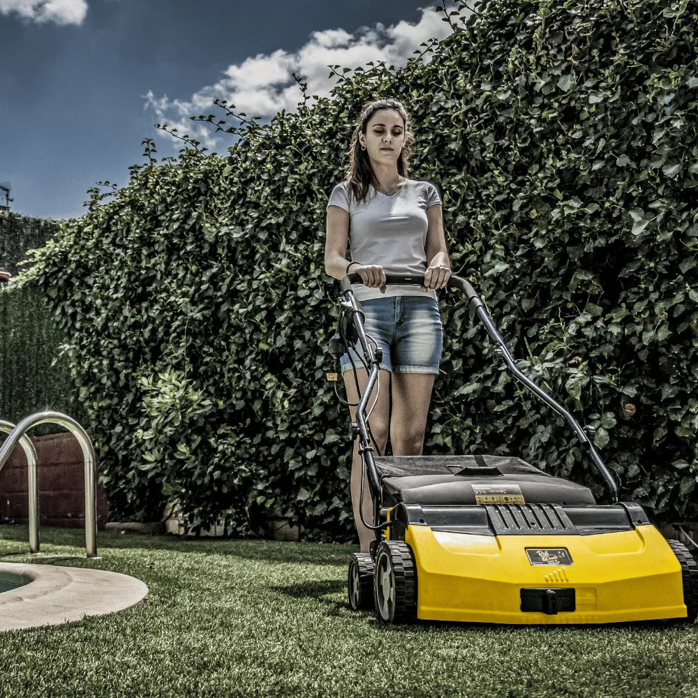 Műfű-karbantartógép – LEON