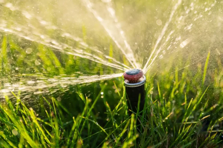 A műfű környezeti előnyei