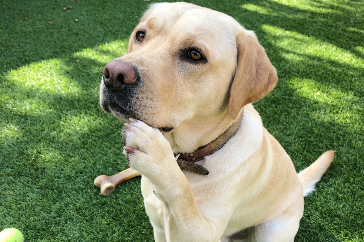 Meddig Tart Valójában, és Mitől Függ? 