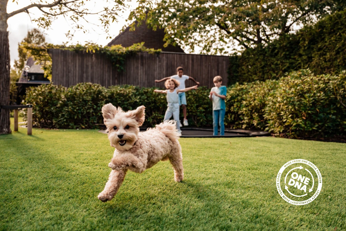 Mi az a PFAS, és miért hívják „örökké vegyi anyagnak?