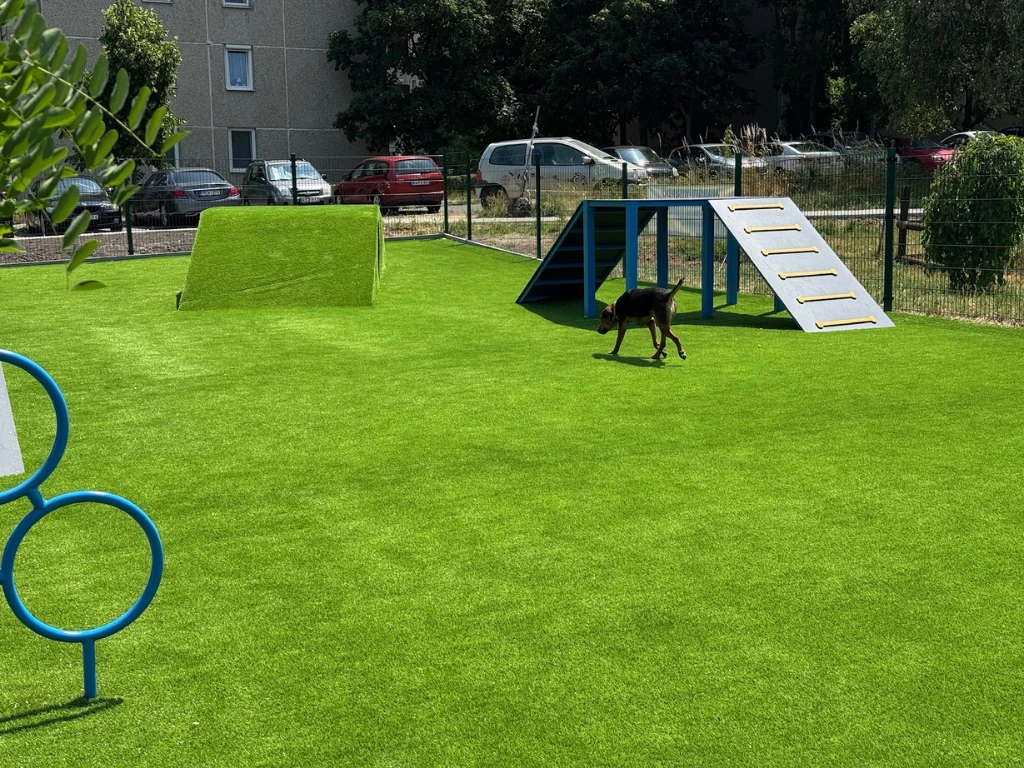 Vitalis 25 - marketing